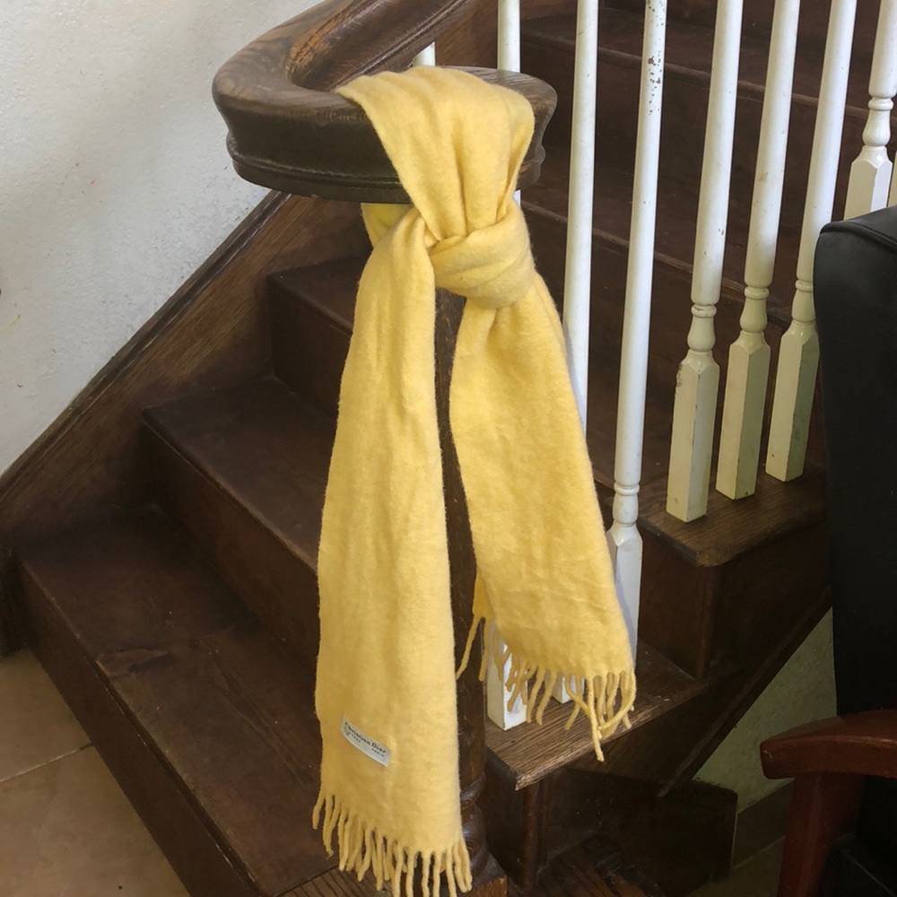 Christian Dior scarf